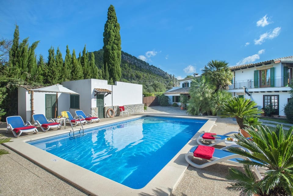 Patio, Garden, Garden view