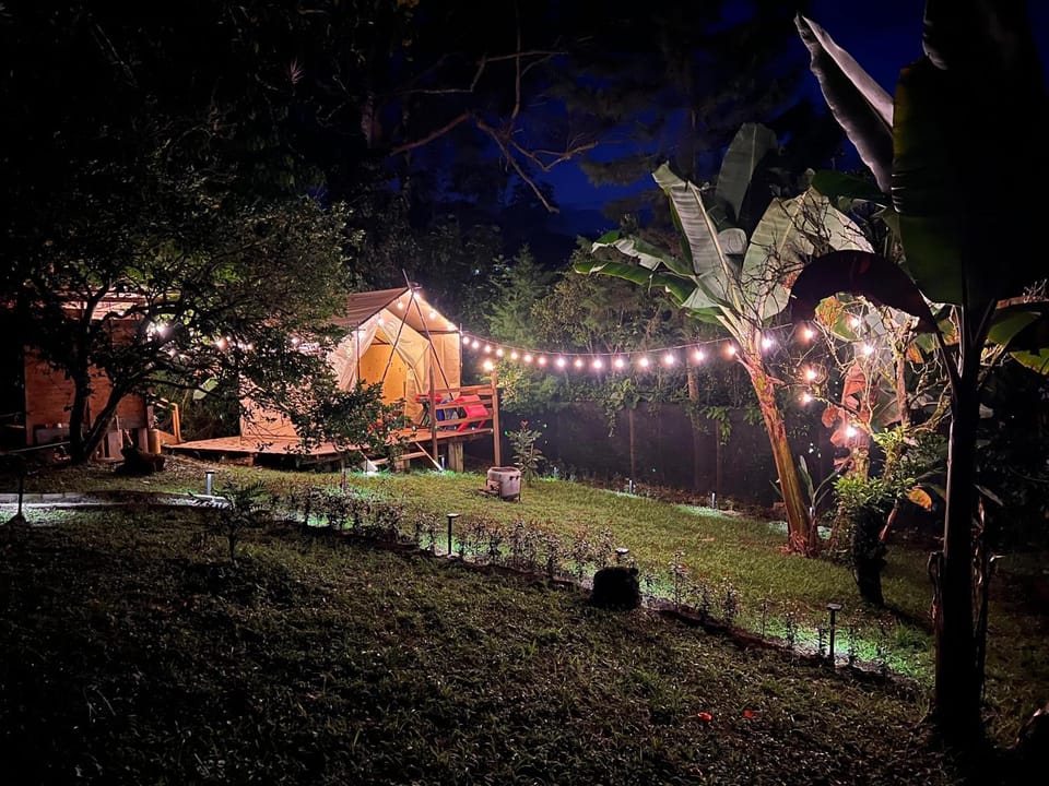 Night, Natural landscape, Garden view