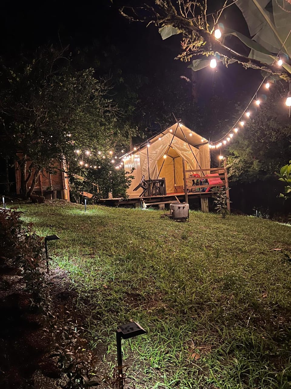 Night, Garden, Garden view