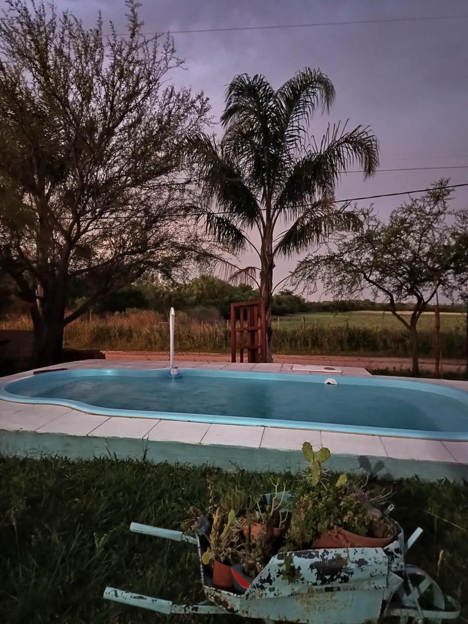 Pool view