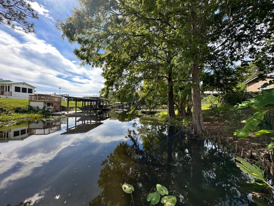 River view