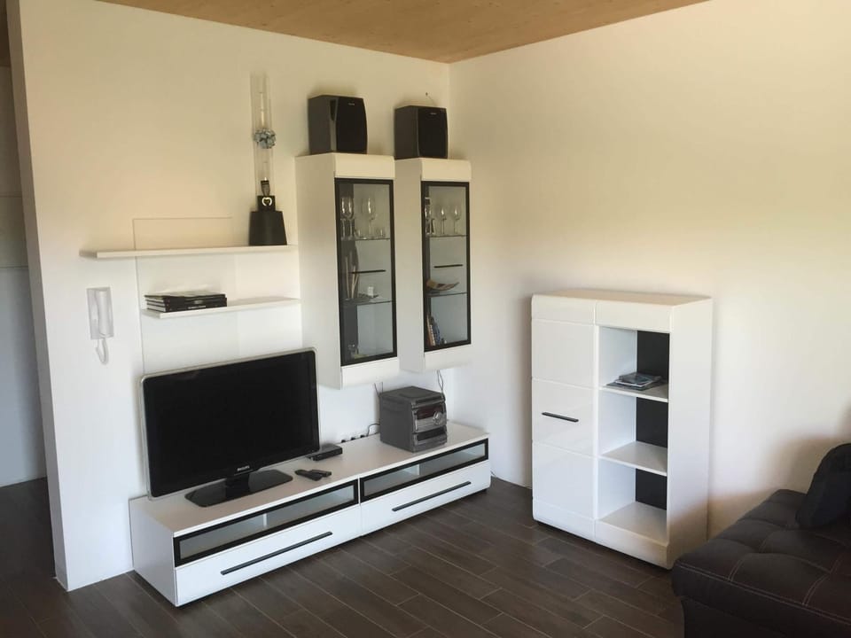 Spring, Day, Summer, TV and multimedia, Living room, Photo of the whole room, Autumn, On site, Family