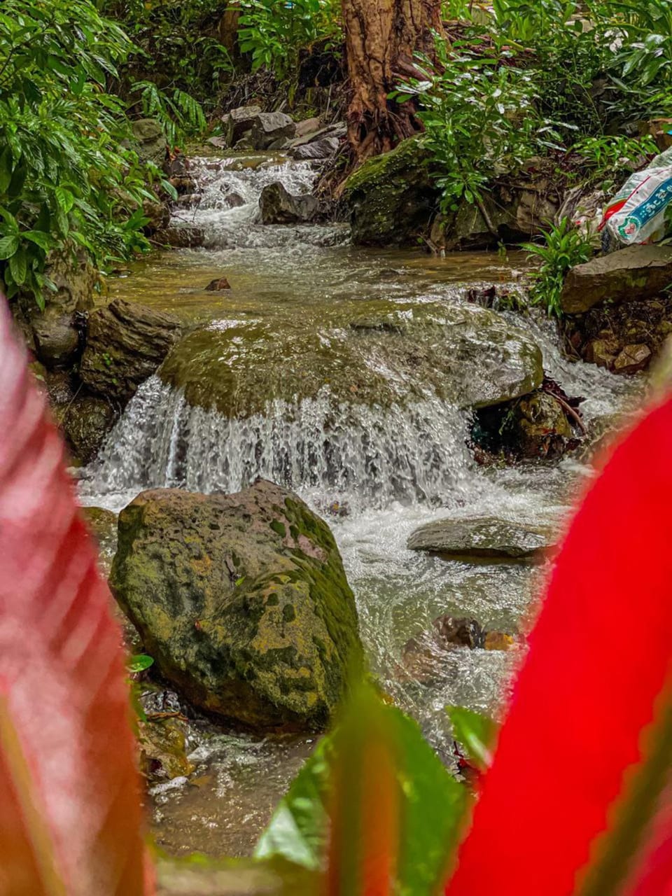 Nearby landmark, Natural landscape