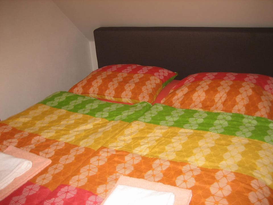 Penzion Ryba Bed and Breakfast in Czechia