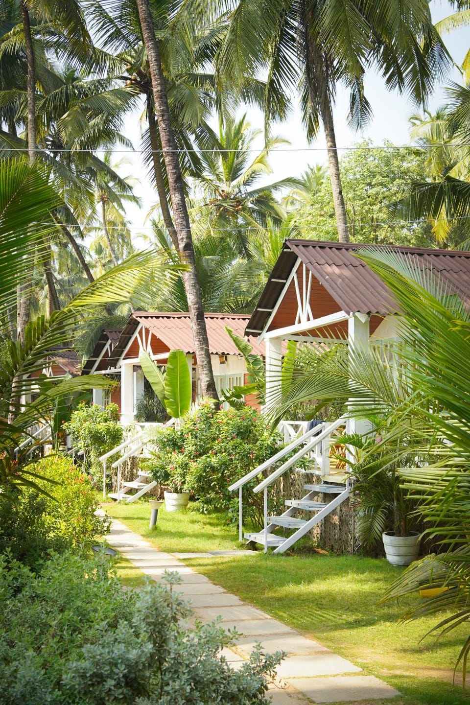 Day, Natural landscape, Garden, Garden view