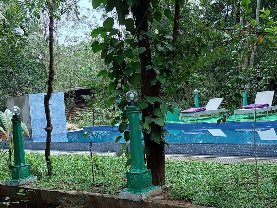 Garden, Pool view, Swimming pool