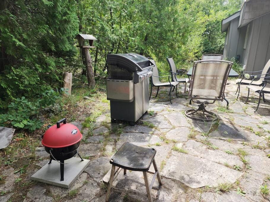 Waterfront Cottage in Lion's Head House in Northern Bruce Peninsula