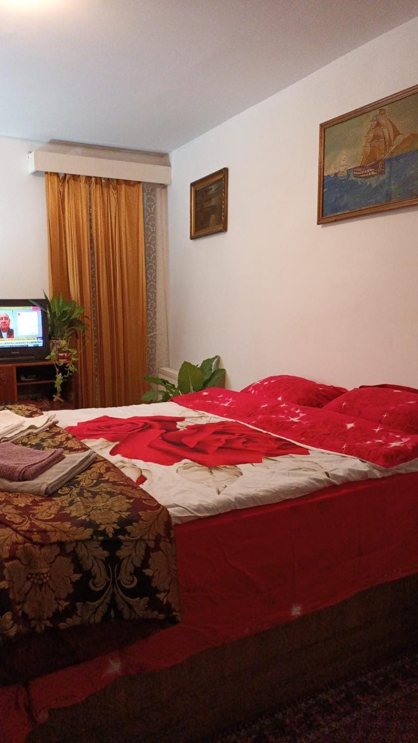 Liberty Apartment Apartment in Cluj-Napoca
