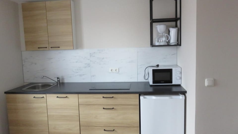 Kitchen or kitchenette, minibar, stove