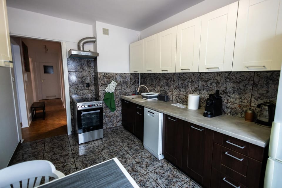Kitchen or kitchenette, dishwasher, stove