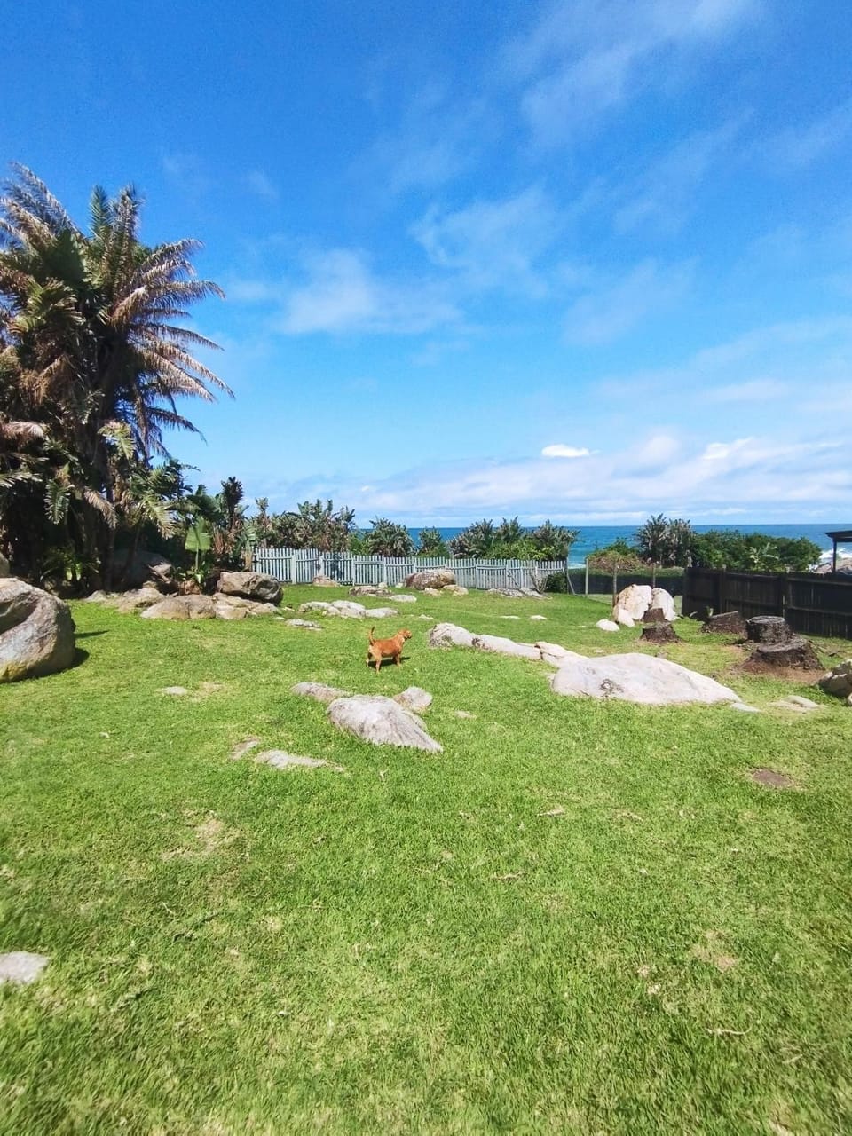 Garden, Garden, pet friendly