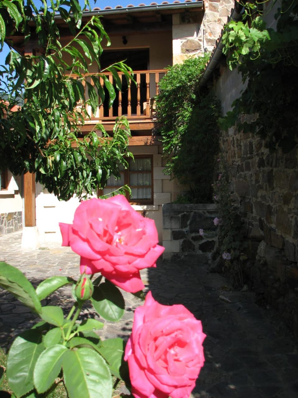 Property building, Garden
