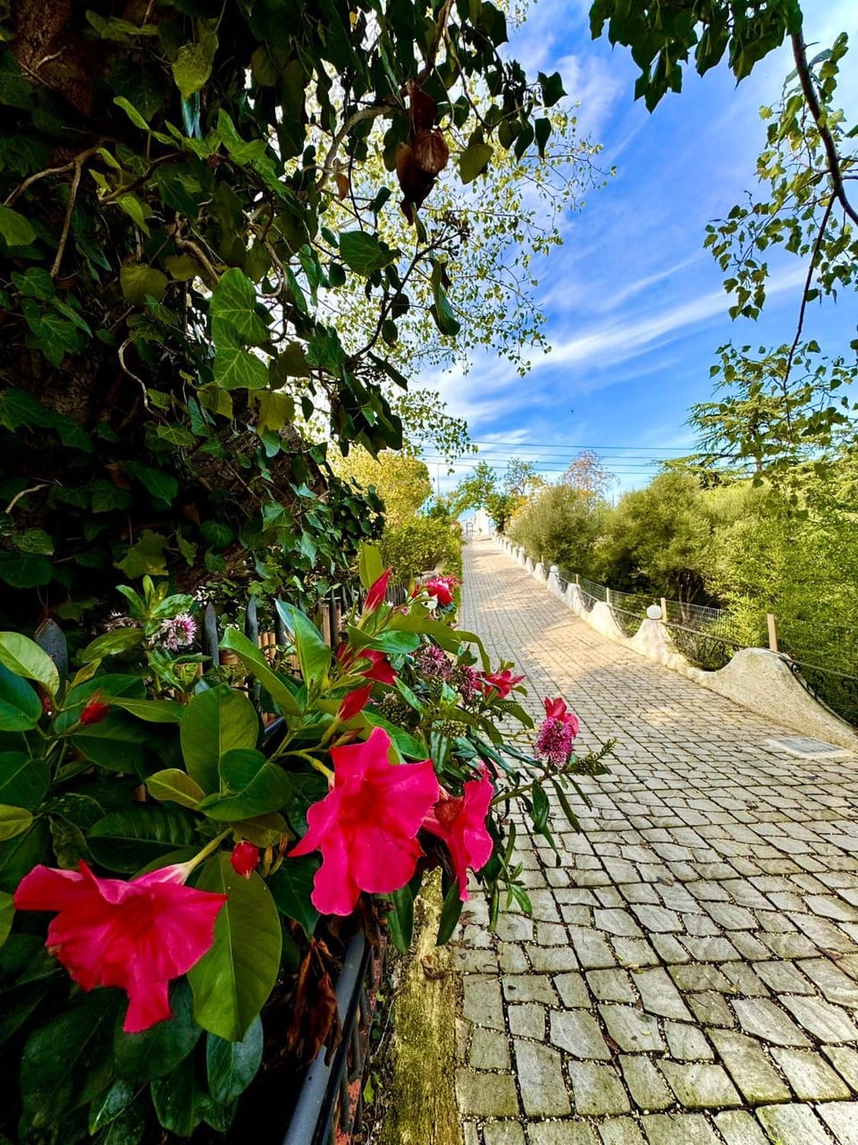 Spring, Day, Natural landscape, Garden, Garden view