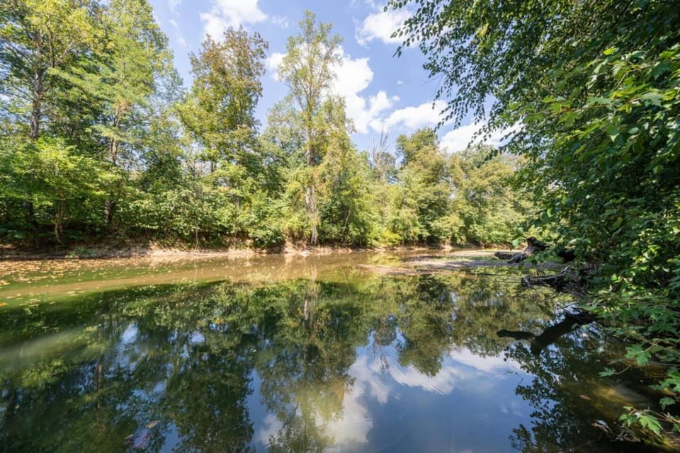 Natural landscape, River view