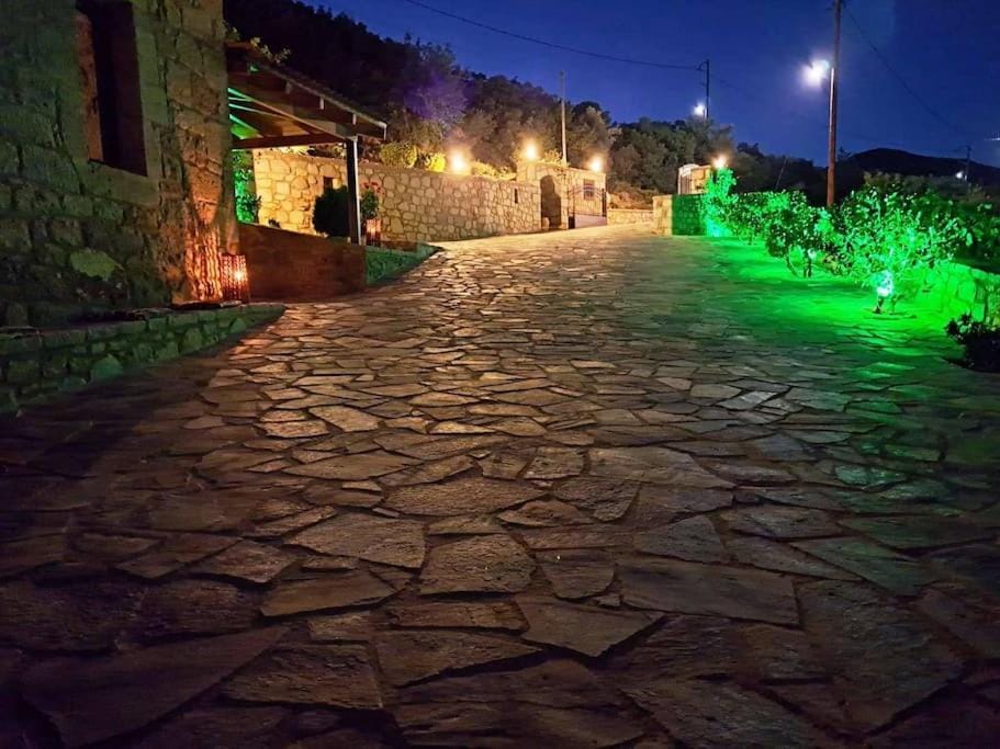 Property building, Night, Garden view