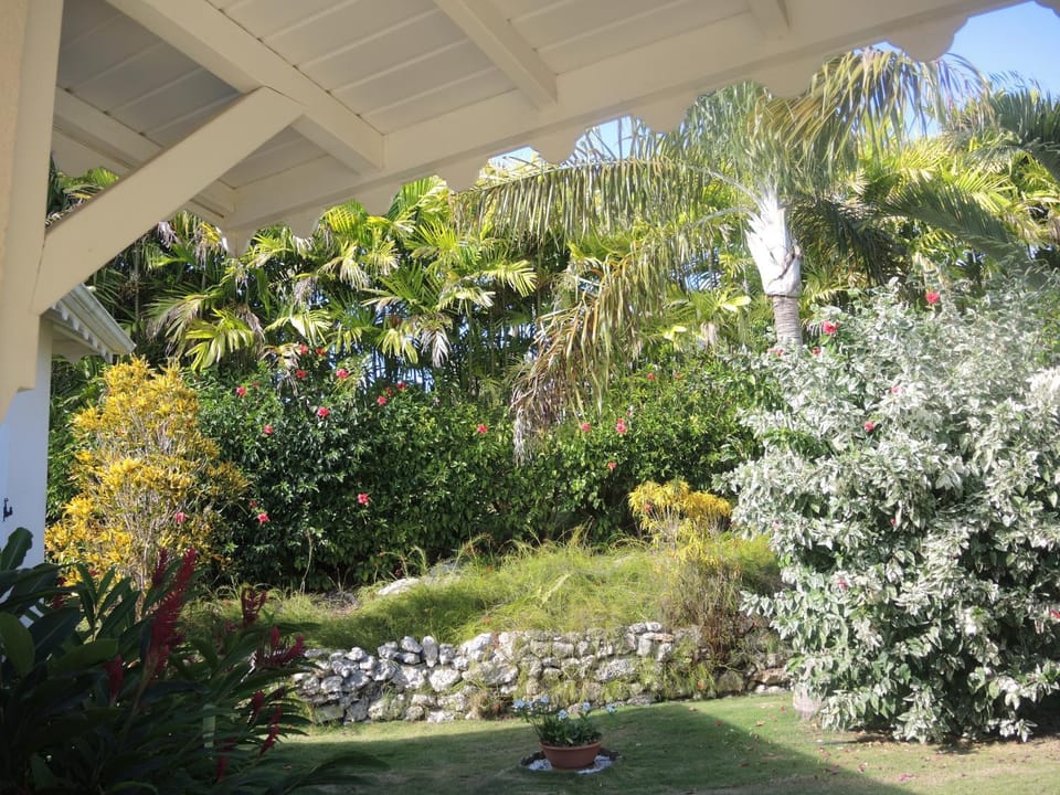 Other, Garden view
