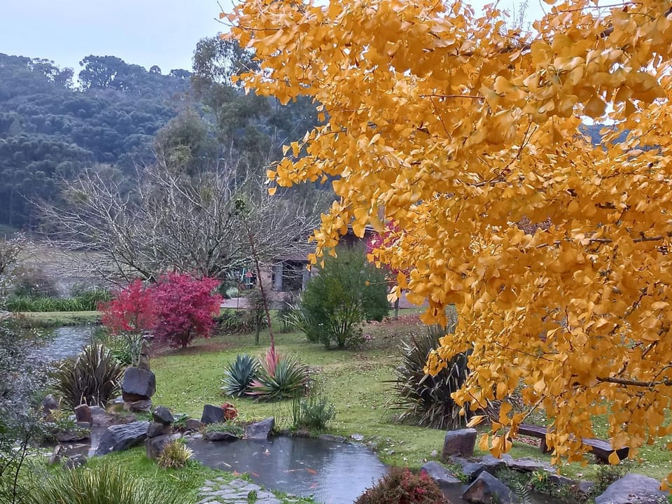 Cogumelos Montanhês Chalet in Gramado