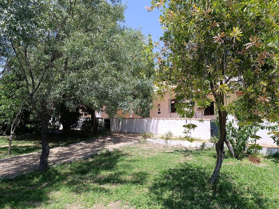 Natural landscape, Garden view
