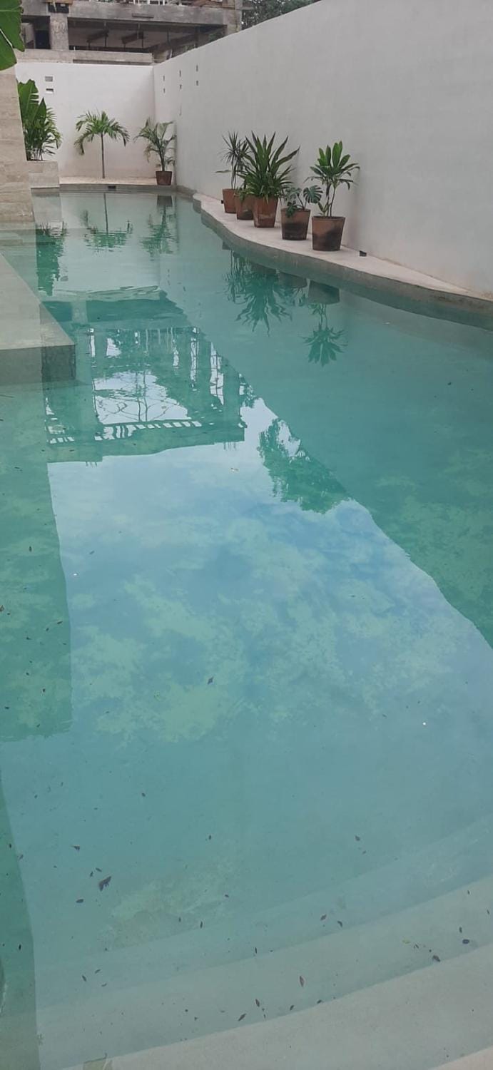 Swimming pool