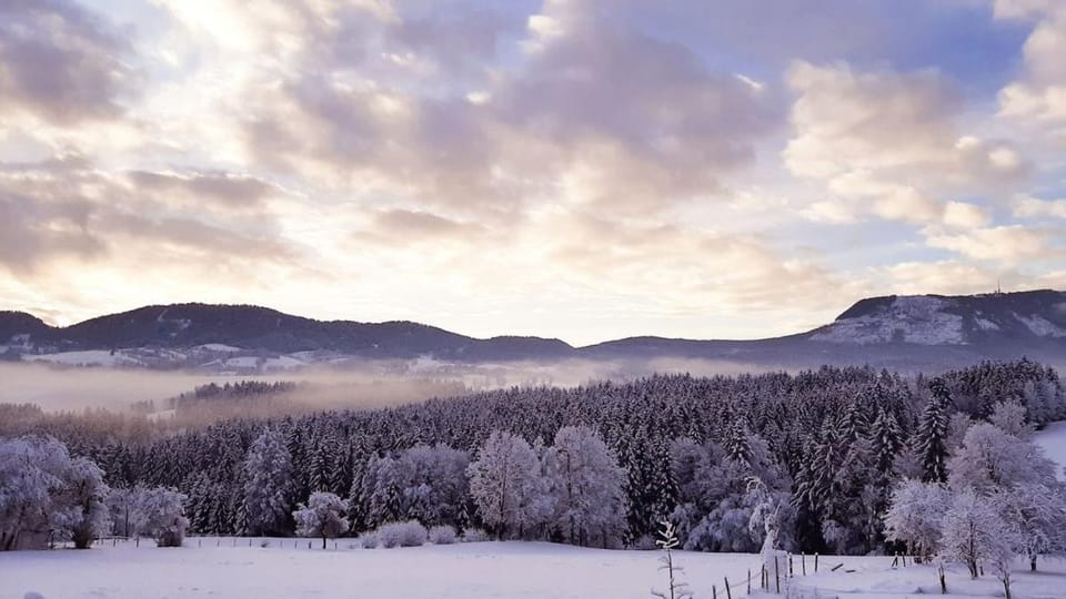 Winter