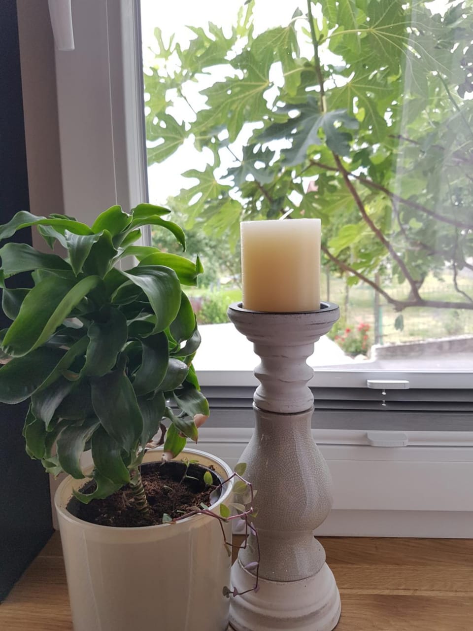 Living room, Decorative detail, Seating area, Dining area, Bedroom