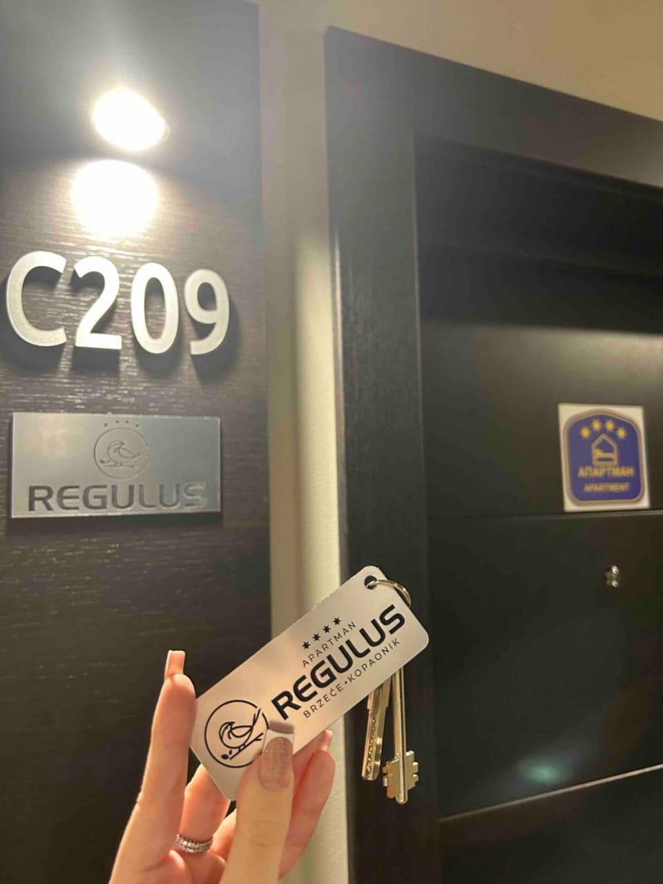 Regulus apartment Brzeće Kopaonik Apartment in Serbia