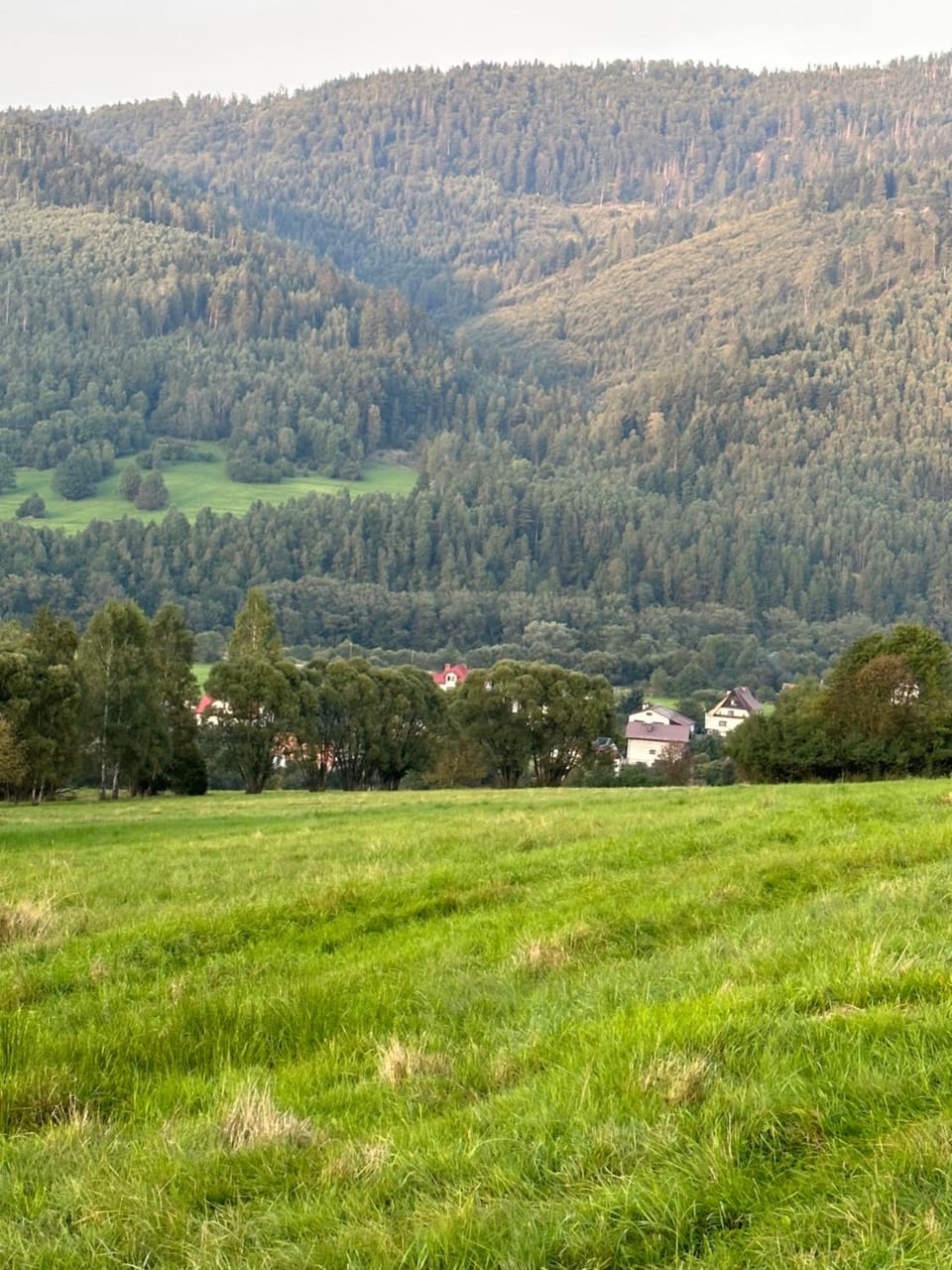 Mountain view