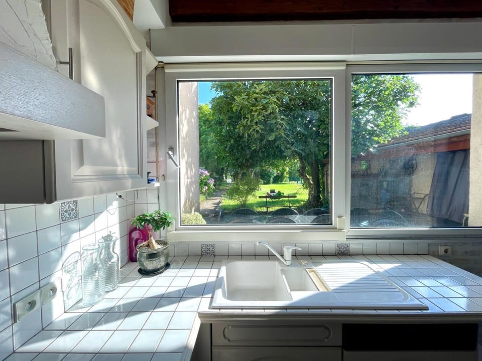 Garden view