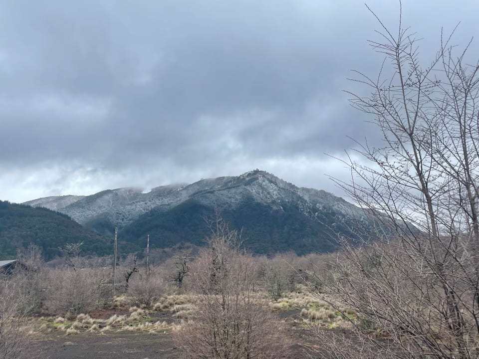 Natural landscape, Garden, Mountain view