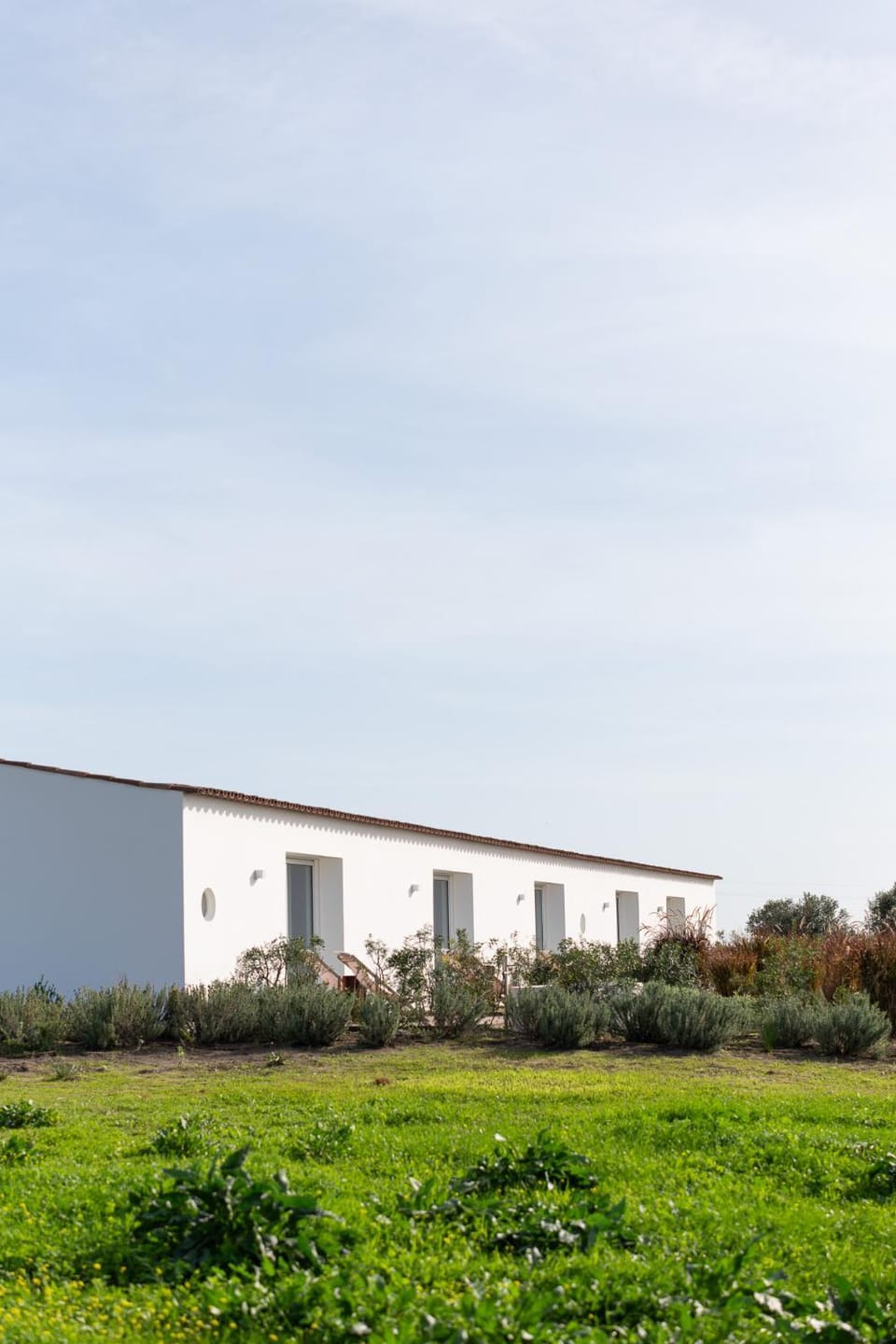 Property building, Garden, Garden view