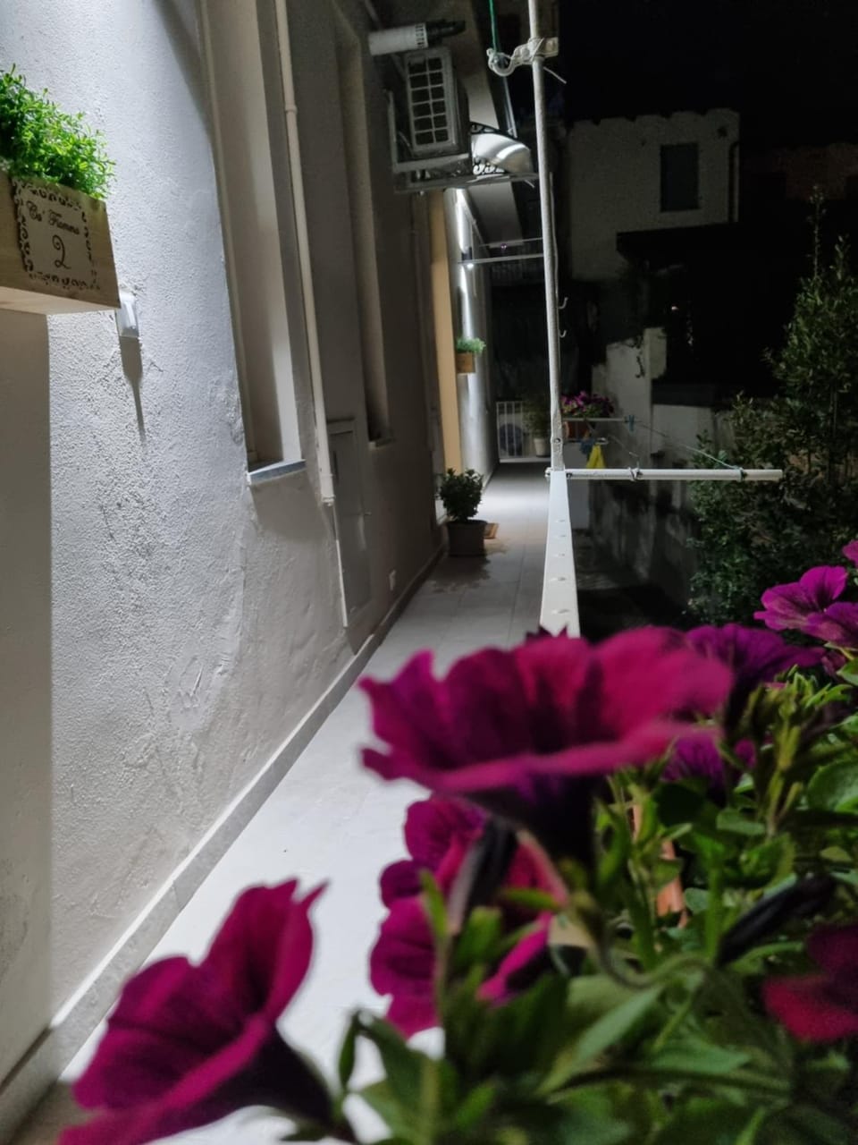 Property building, Garden