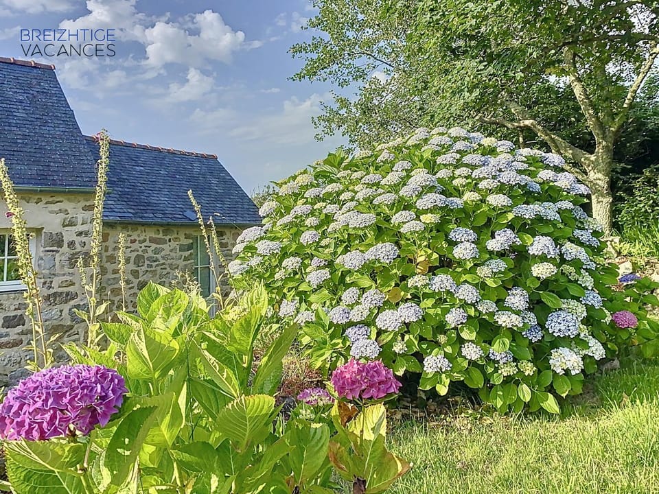 Penty Ty Gwen (Cap de la Chèvre) House in Crozon