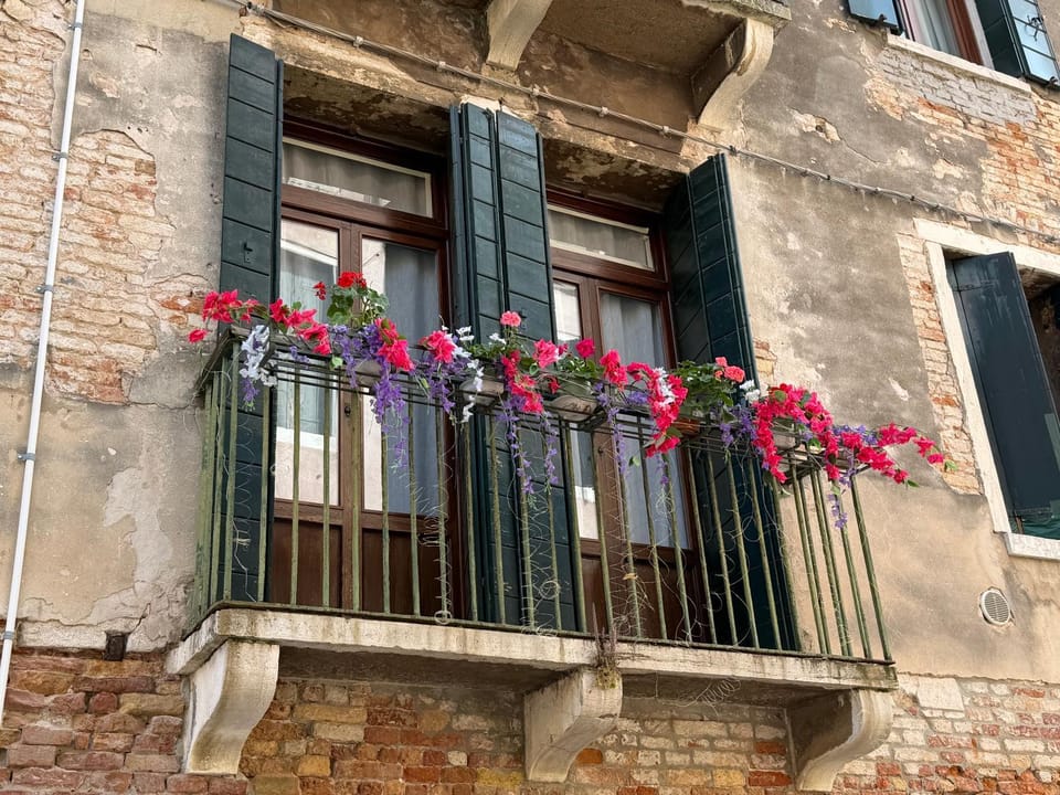 Lions Venice Guest house Bed and Breakfast in Venice