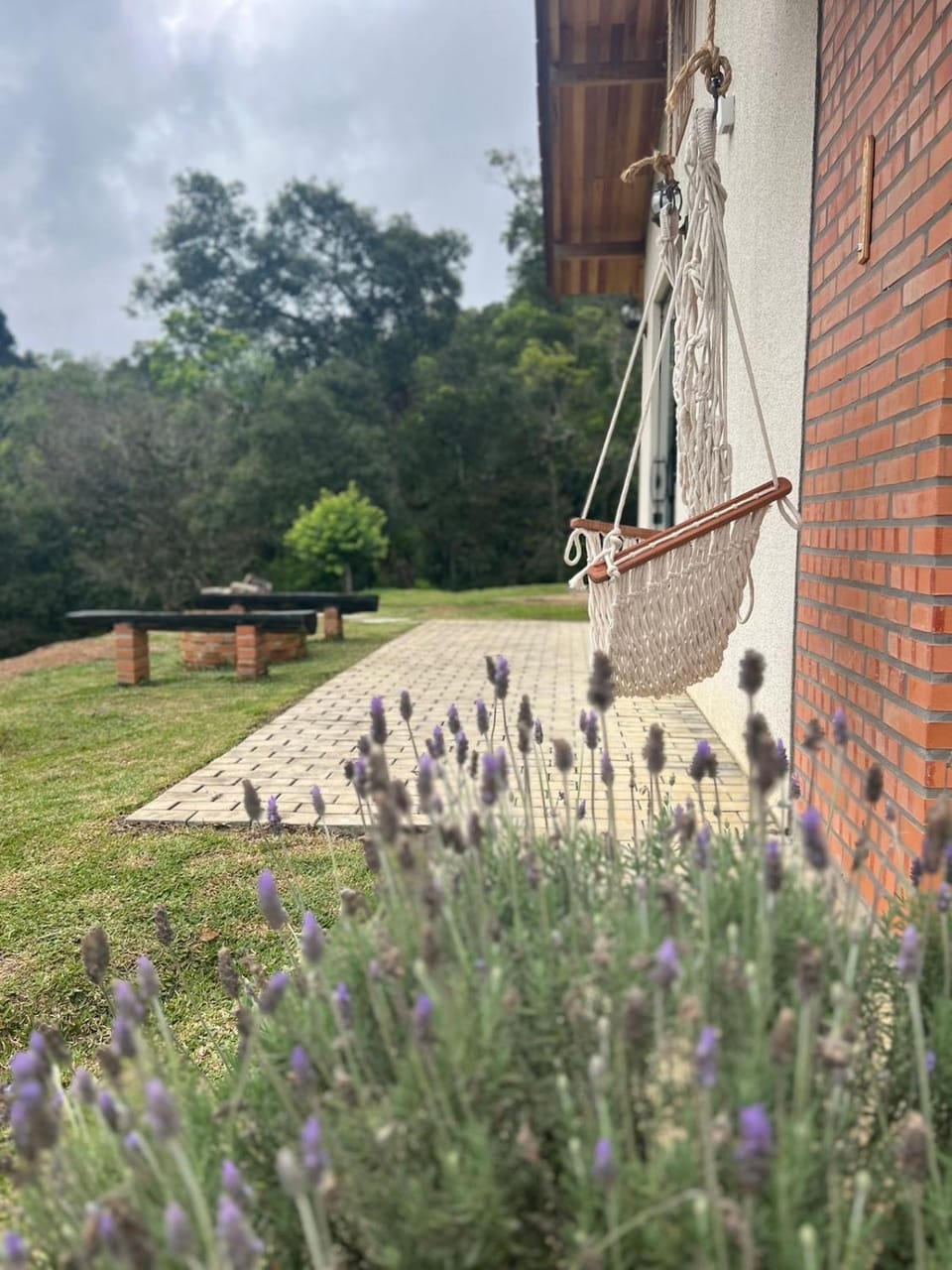 Lake House_SC House in State of Santa Catarina