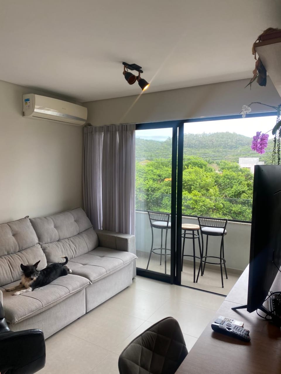 Communal lounge/ TV room, TV and multimedia, Living room