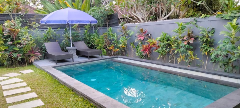 Day, Garden, Pool view, Swimming pool