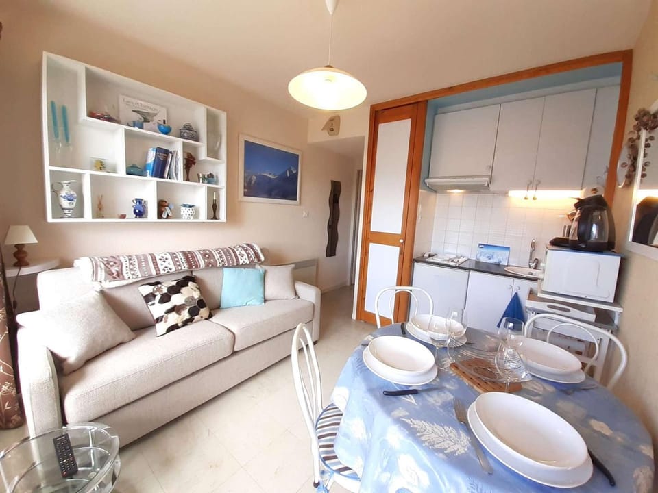 Studio cosy 4 couchages à Saint-Lary-Soulan avec kitchenette équipée - FR-1-457-334 Apartment in Saint-Lary-Soulan