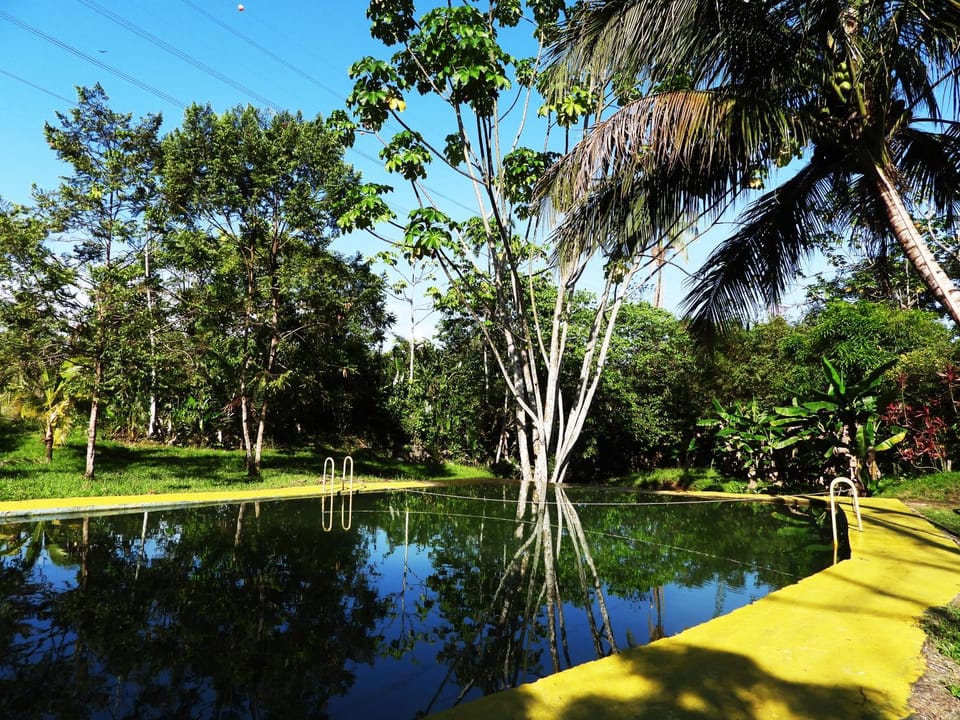 Natural landscape, River view