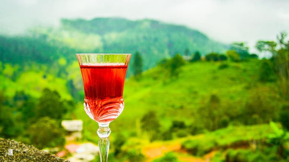 Natural landscape, Food and drinks, Drinks
