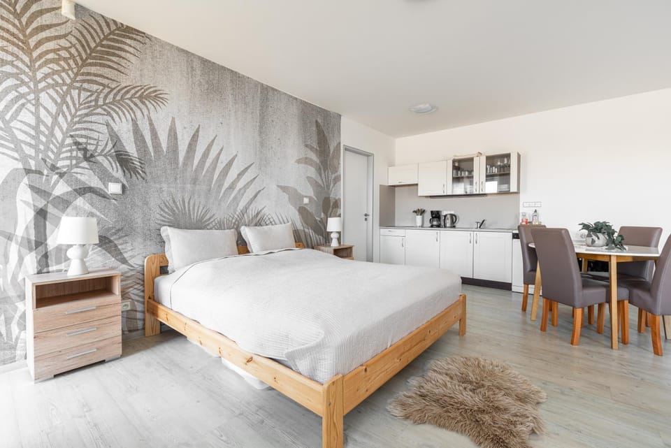 Apartmán Natura Klínovec Apartment in Erzgebirgskreis