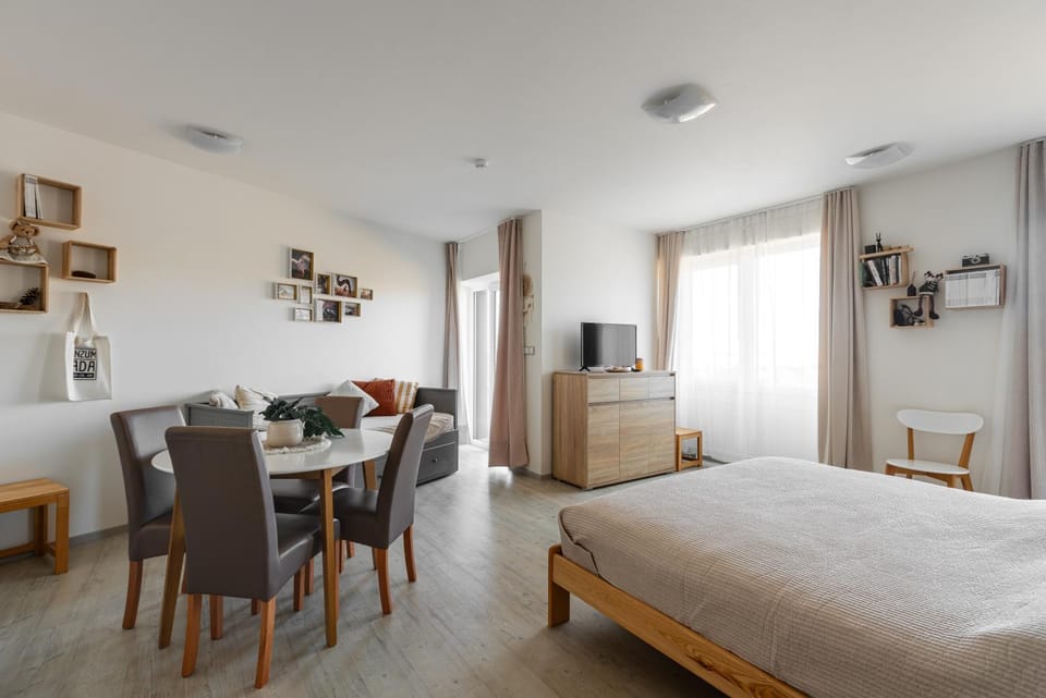 Apartmán Natura Klínovec Apartment in Erzgebirgskreis