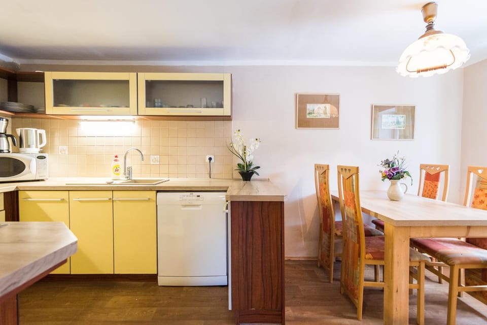 Kitchen or kitchenette, kitchen