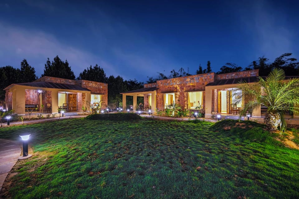 Night, Natural landscape, Garden view