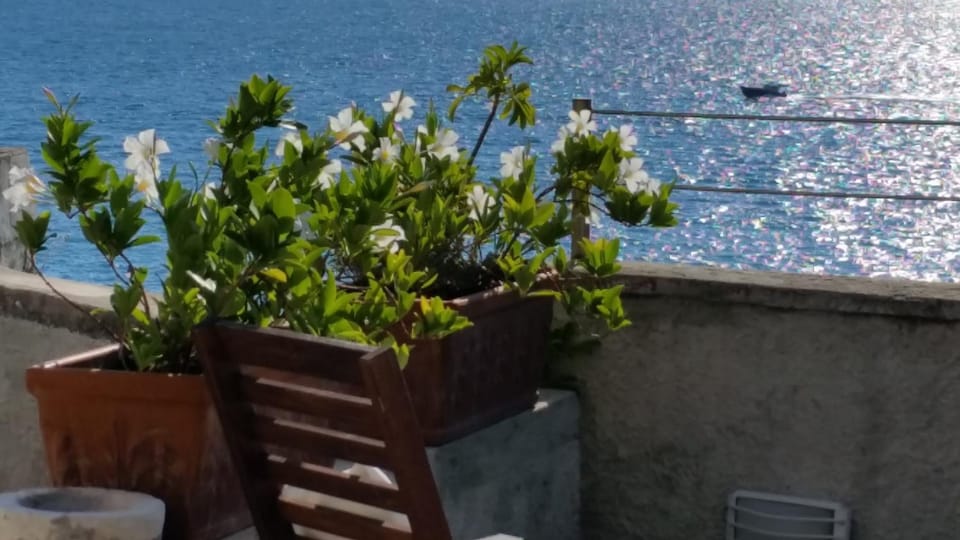 Balcony/Terrace, Sea view