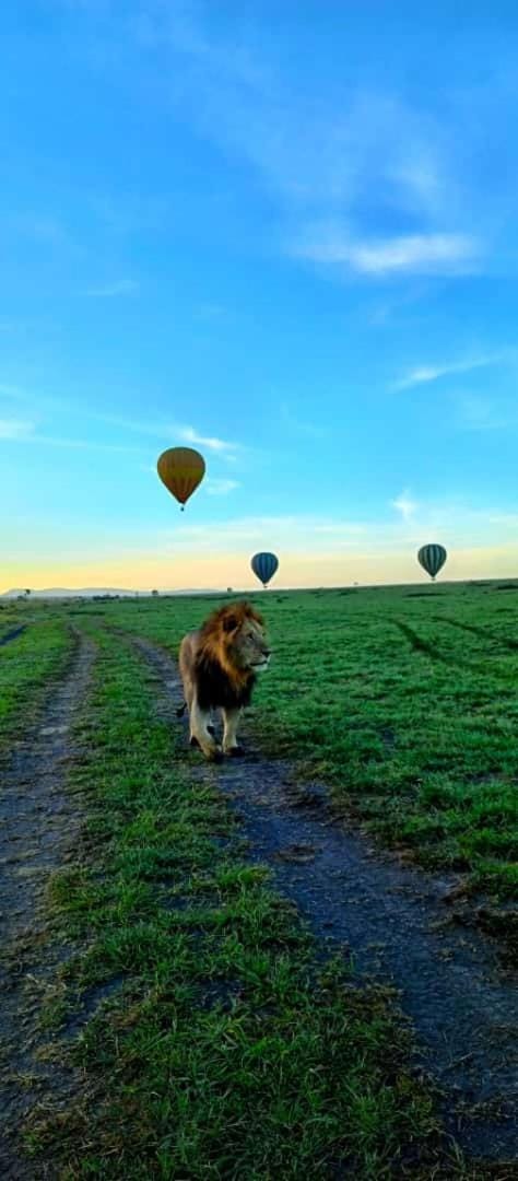 Luluka Guest House Bed and Breakfast in Kenya