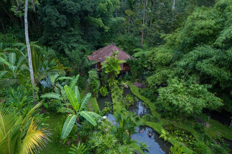 Spring, Natural landscape, Garden, Garden view