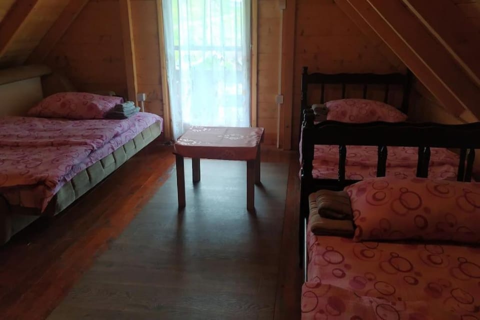 Mountin cottage Hajdi House in Montenegro