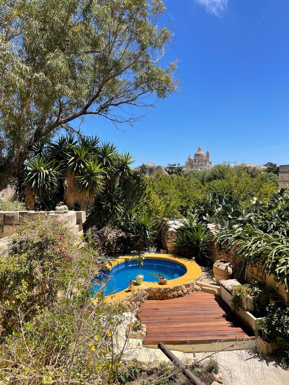 Garden, Swimming pool