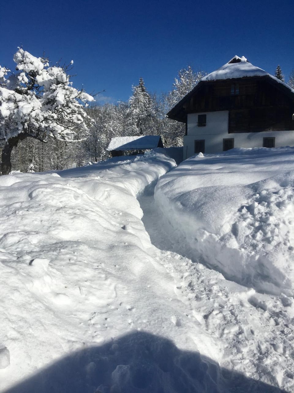 La Baita di Aclete Apartment in Friuli-Venezia Giulia