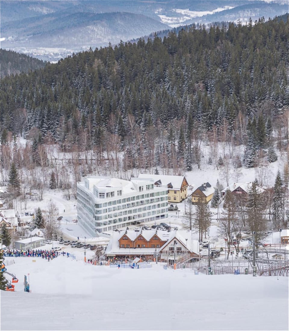 Property building, Natural landscape, Winter, Skiing, Mountain view